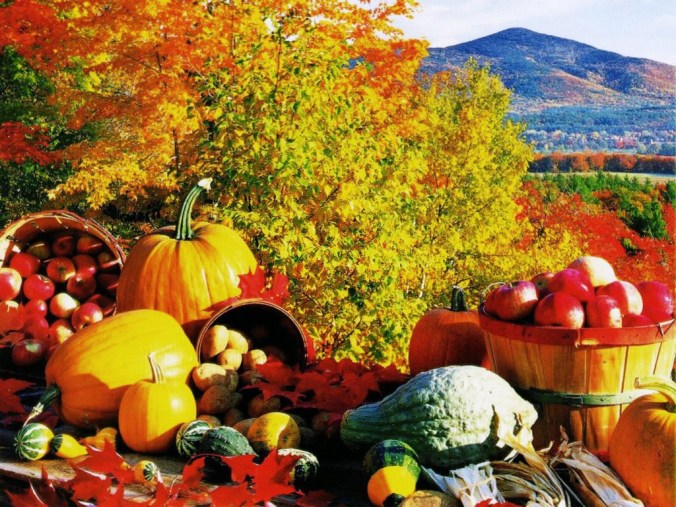 Autumn Harvest 3